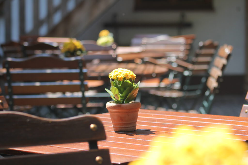 Kleiner Blumentopf mit gelben Blüten steht auf einem Holztisch, im Hintergrund unscharfe Stühle einer Außengastronomie bei Sonnenlicht.